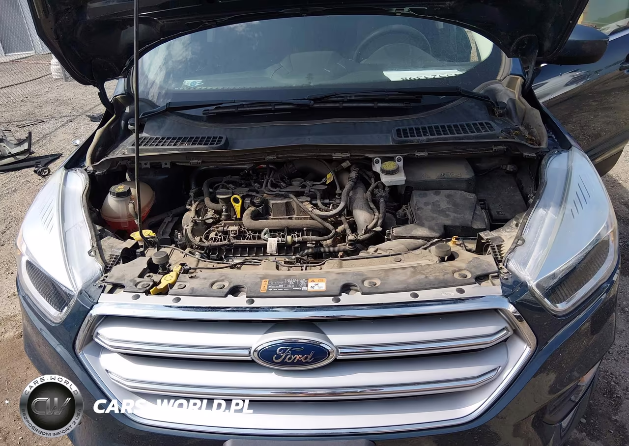 2019 Ford Escape Se VIN:1FMCU0GD9KUA24718 - 10