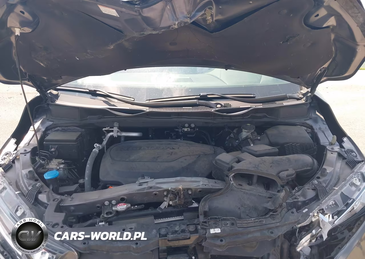 2023 Honda Odyssey Elite VIN:5FNRL6H93PB056756 - 10