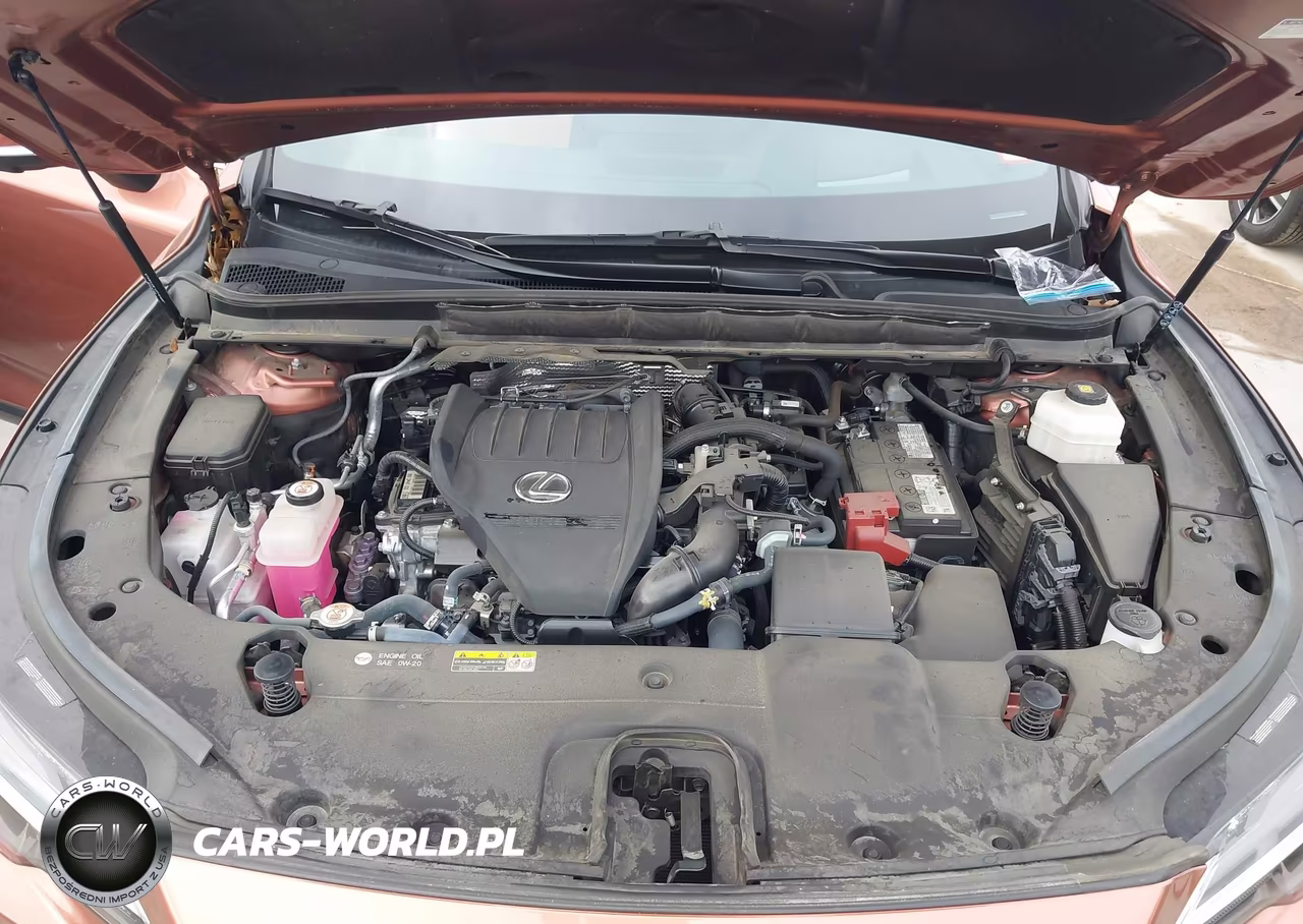2024 Lexus Rx 350 Premium Plus VIN:2T2BAMCA7RC043251 - 10