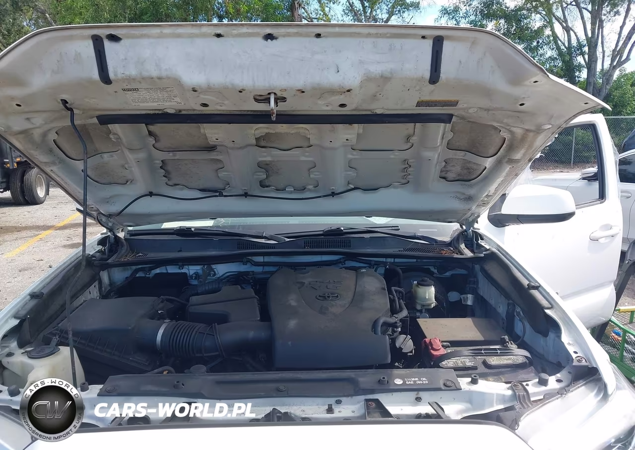 2016 Toyota Tacoma Sr5 V6 VIN:5TFRZ5CN1GX015304 - 10