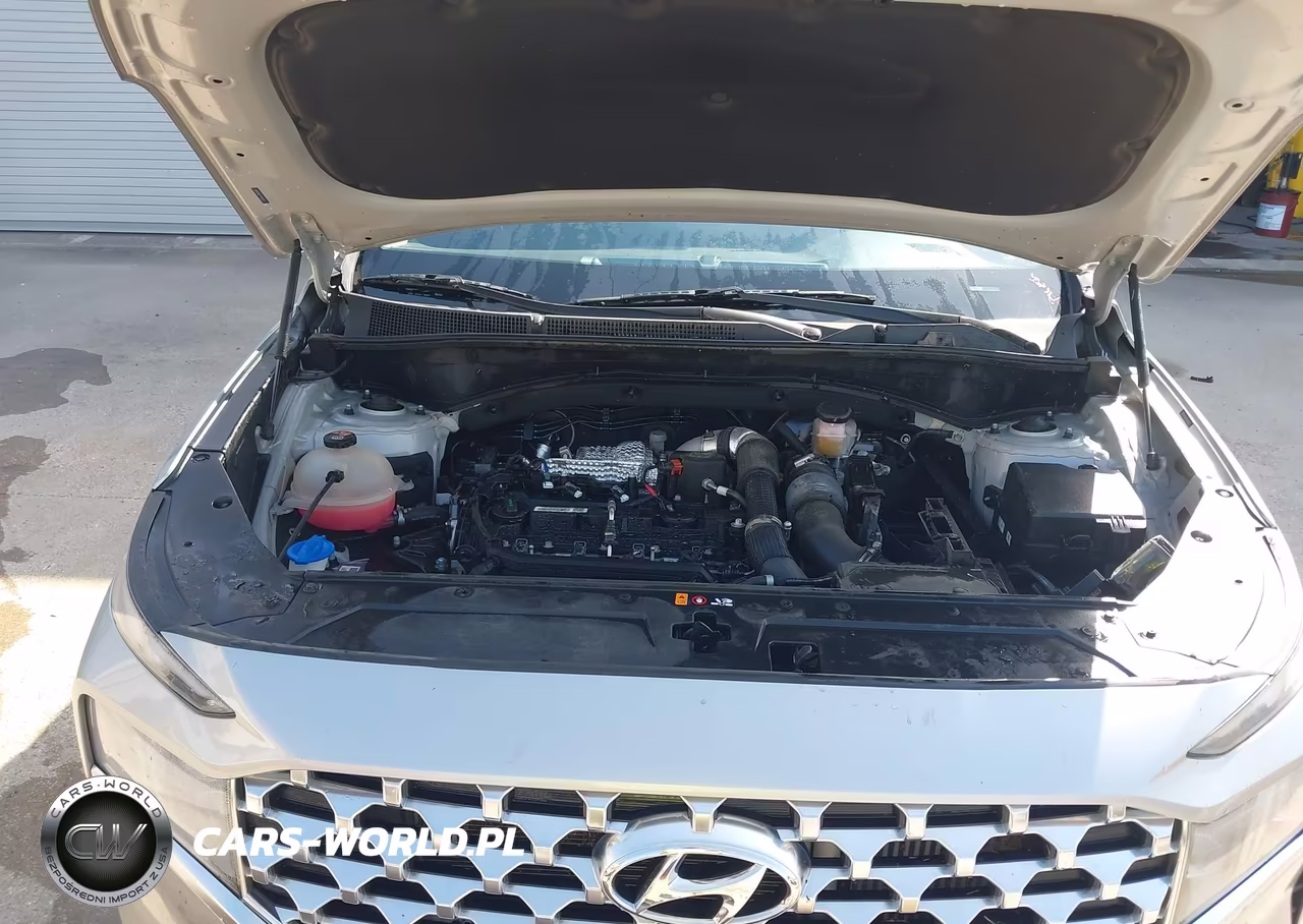 2022 Hyundai Santa Fe Limited VIN:5NMS44AL4NH436872 - 10
