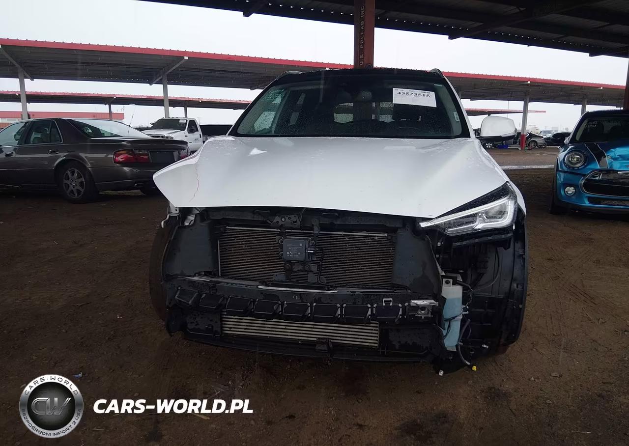 2019 Infiniti Qx50 Luxe VIN:3PCAJ5M30KF130223 - 13