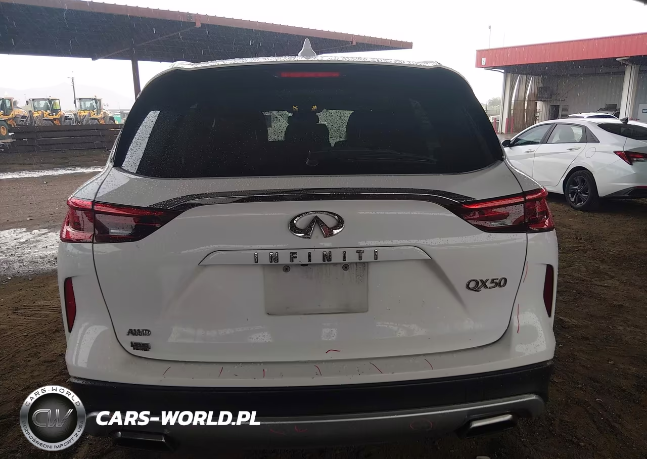2019 Infiniti Qx50 Luxe VIN:3PCAJ5M30KF130223 - 17