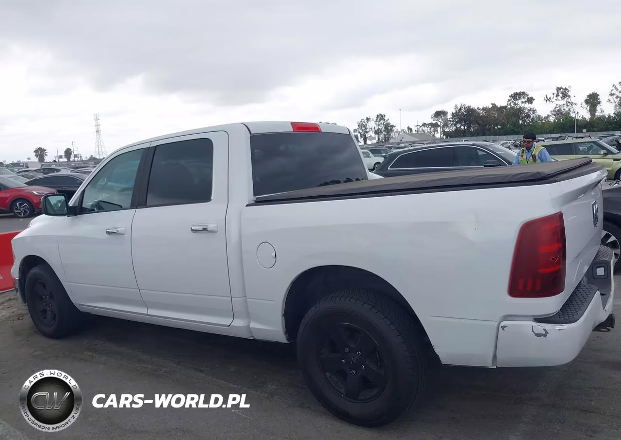 2010 Dodge Ram 1500 Slt-Sport-Trx VIN:1D7RB1CP9AS153455 - 14