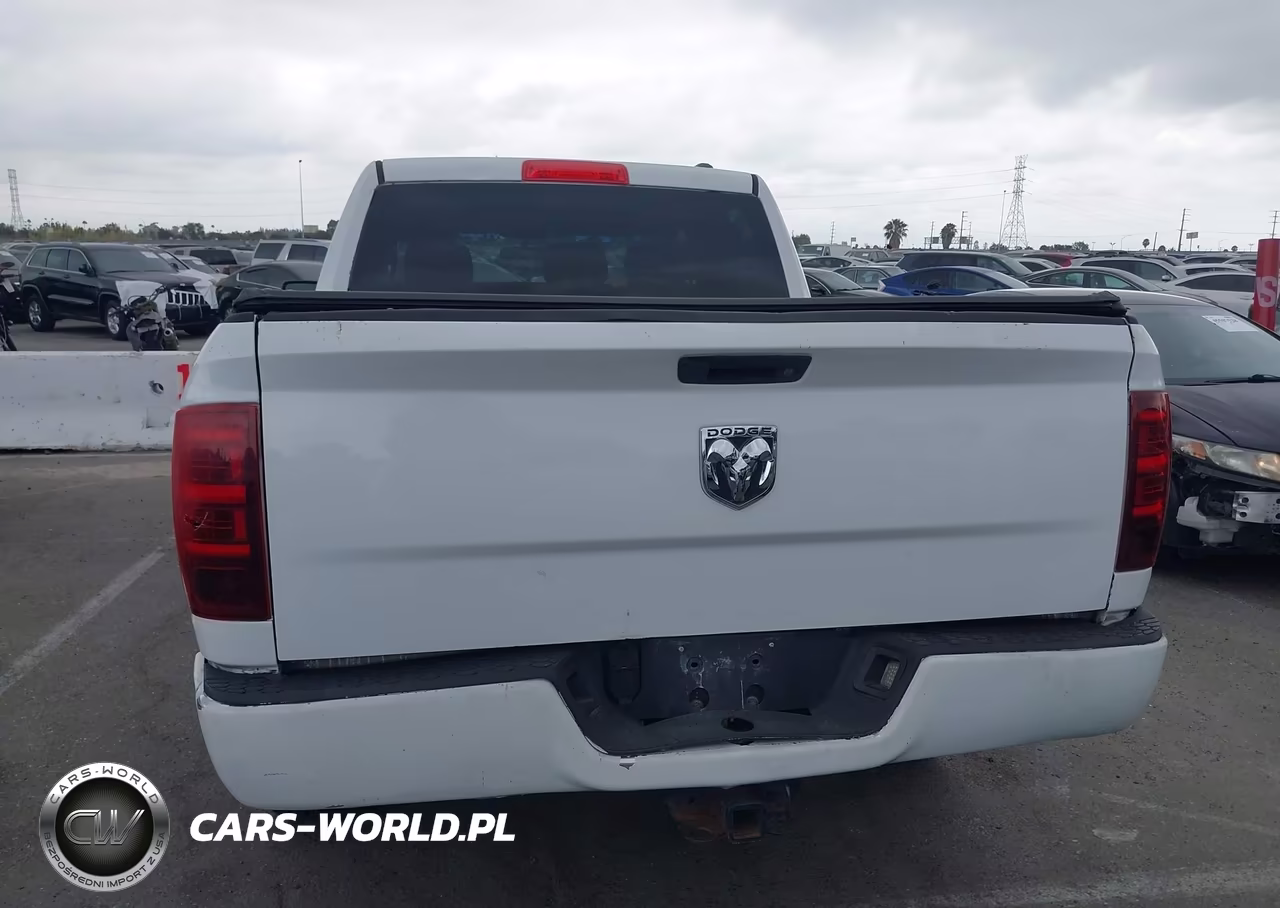 2010 Dodge Ram 1500 Slt-Sport-Trx VIN:1D7RB1CP9AS153455 - 16