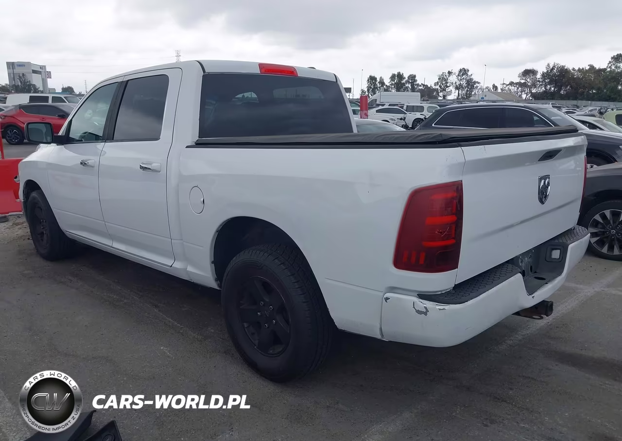 2010 Dodge Ram 1500 Slt-Sport-Trx VIN:1D7RB1CP9AS153455 - 3