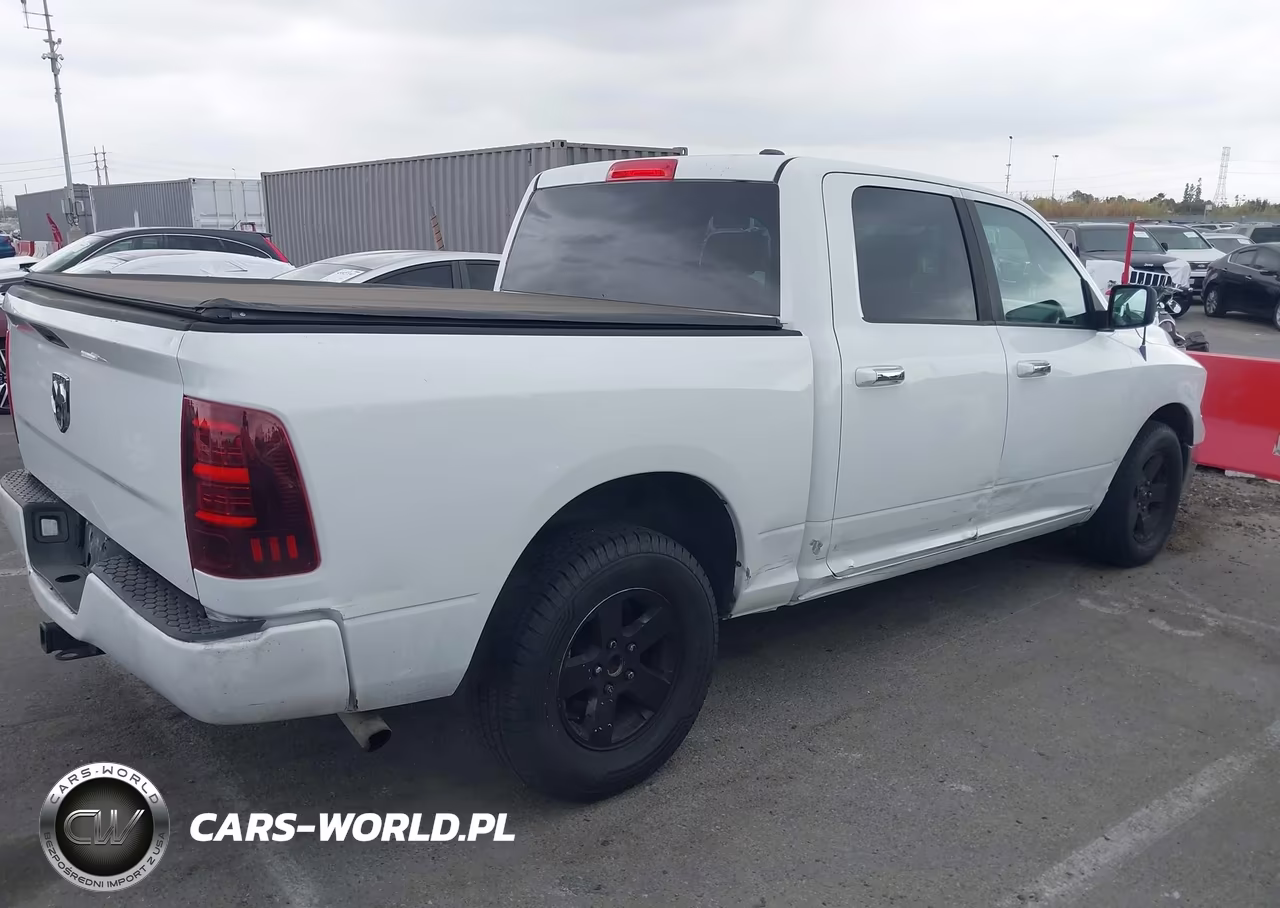 2010 Dodge Ram 1500 Slt-Sport-Trx VIN:1D7RB1CP9AS153455 - 4
