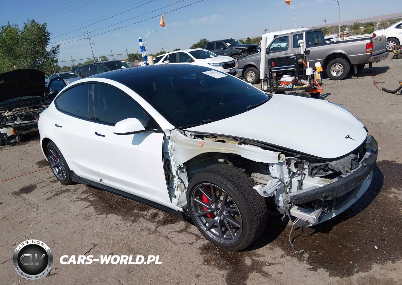 2021 Tesla Model 3 Performance Dual Motor All-Wheel Drive – zdjęcie 1 z 19
