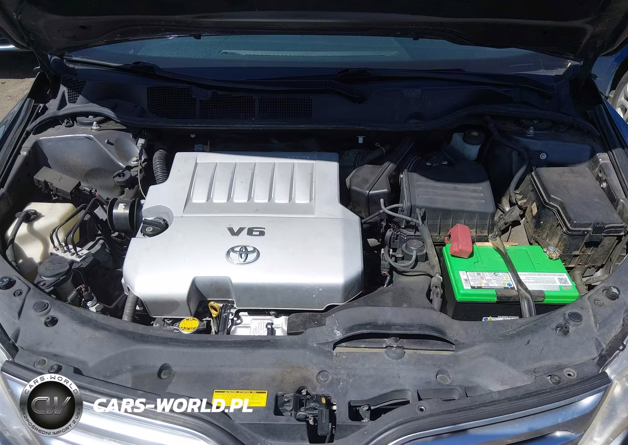 2009 Toyota Venza Base V6 VIN:4T3BK11A19U010559 - 10