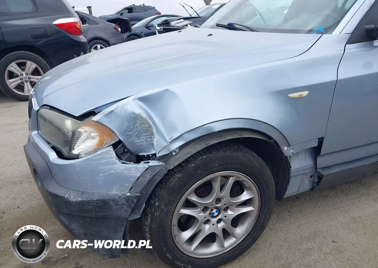 2004 BMW X3 2.5I VIN:WBXPA73484WC35175 - 6