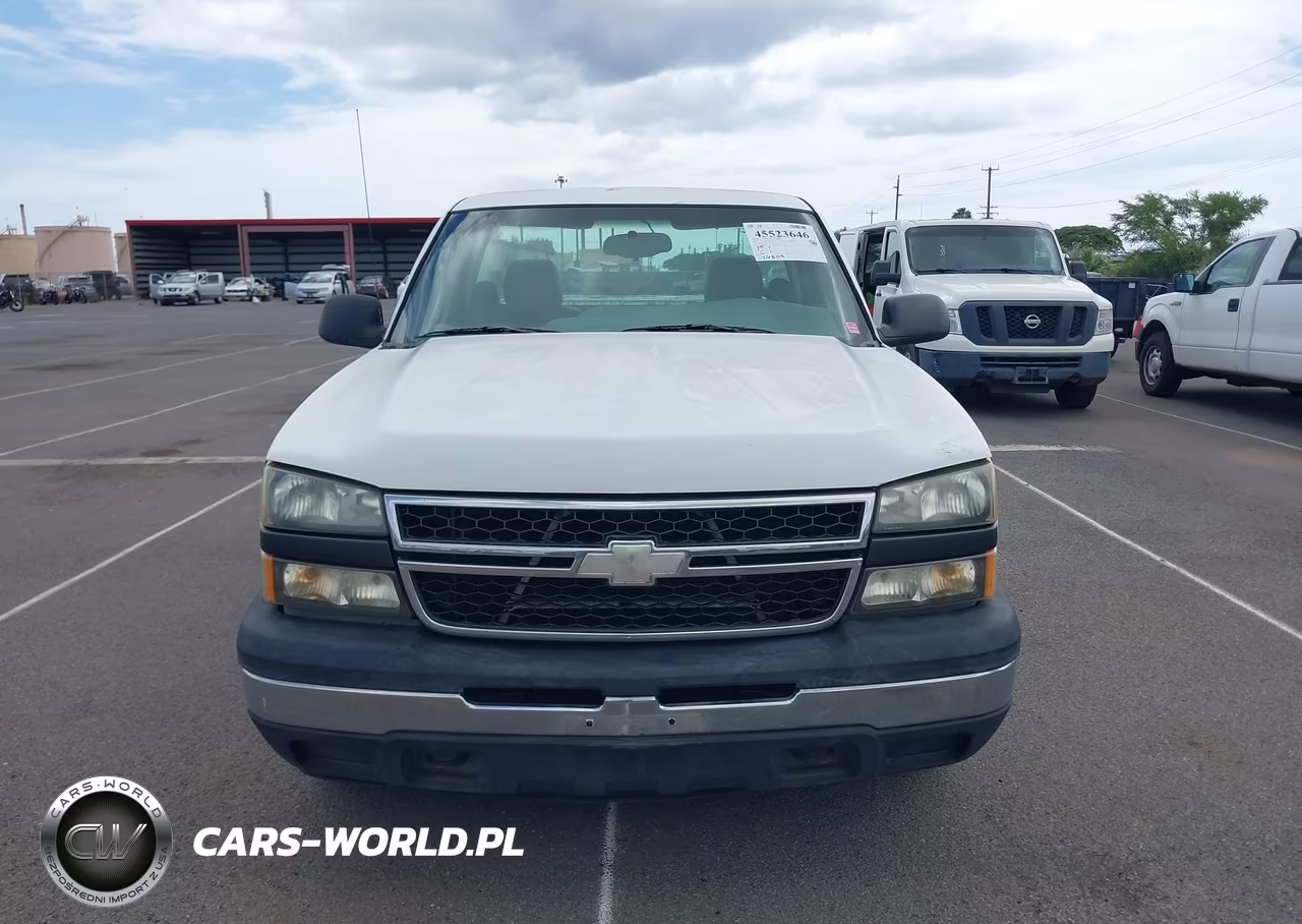 2006 Chevrolet Silverado 1500 Work Truck VIN:1GCEC14Z06E195699 - 17