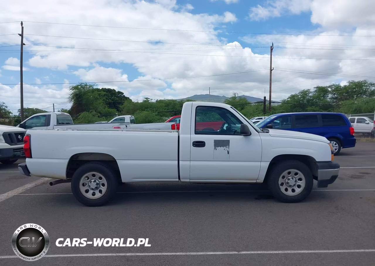 2006 Chevrolet Silverado 1500 Work Truck VIN:1GCEC14Z06E195699 - 18