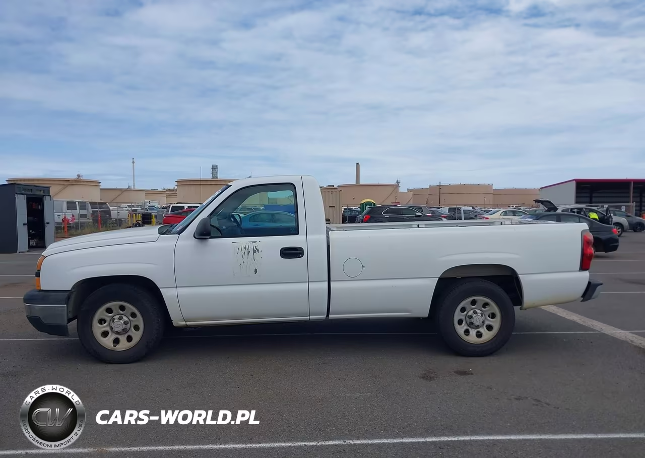 2006 Chevrolet Silverado 1500 Work Truck VIN:1GCEC14Z06E195699 - 19