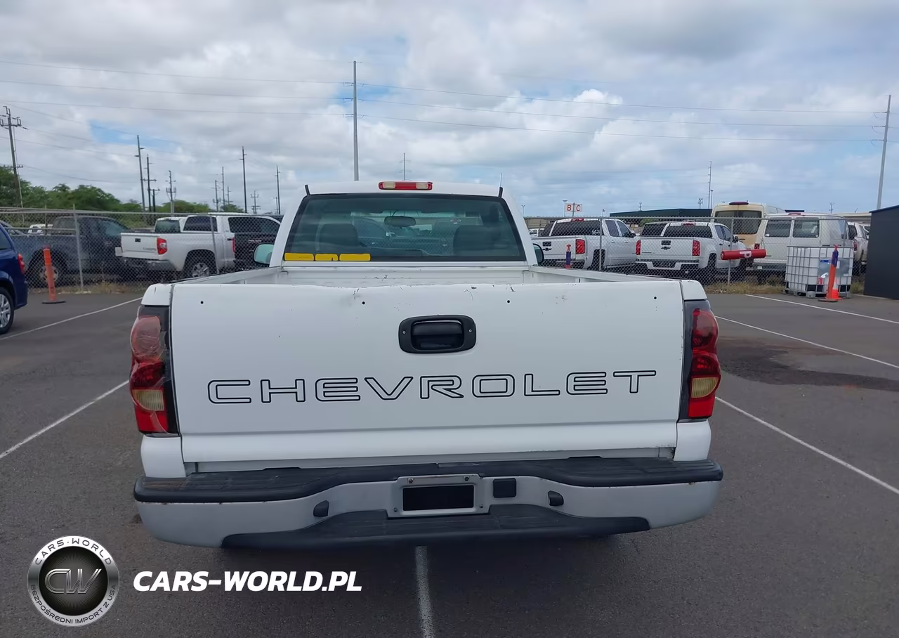 2006 Chevrolet Silverado 1500 Work Truck VIN:1GCEC14Z06E195699 - 21