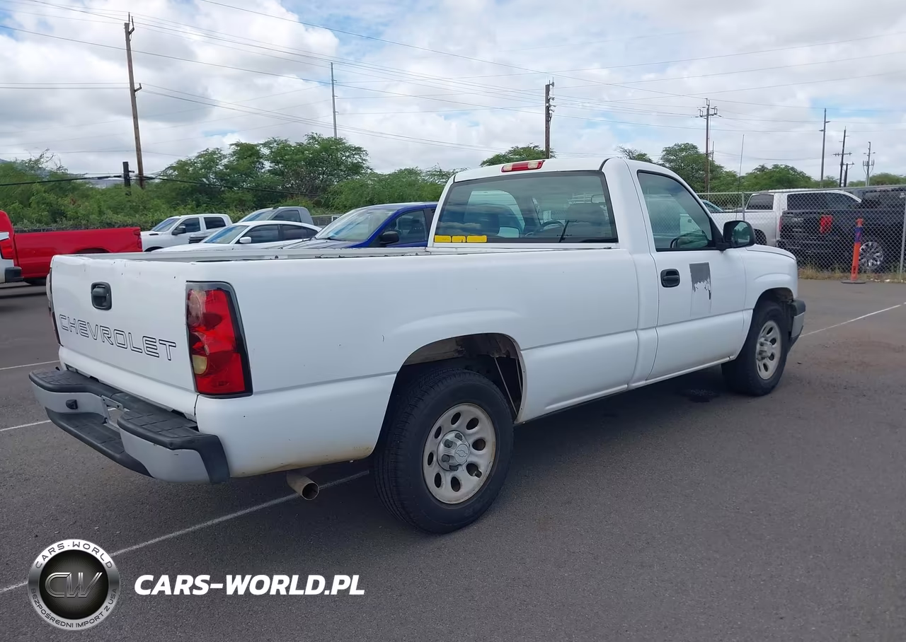 2006 Chevrolet Silverado 1500 Work Truck VIN:1GCEC14Z06E195699 - 4