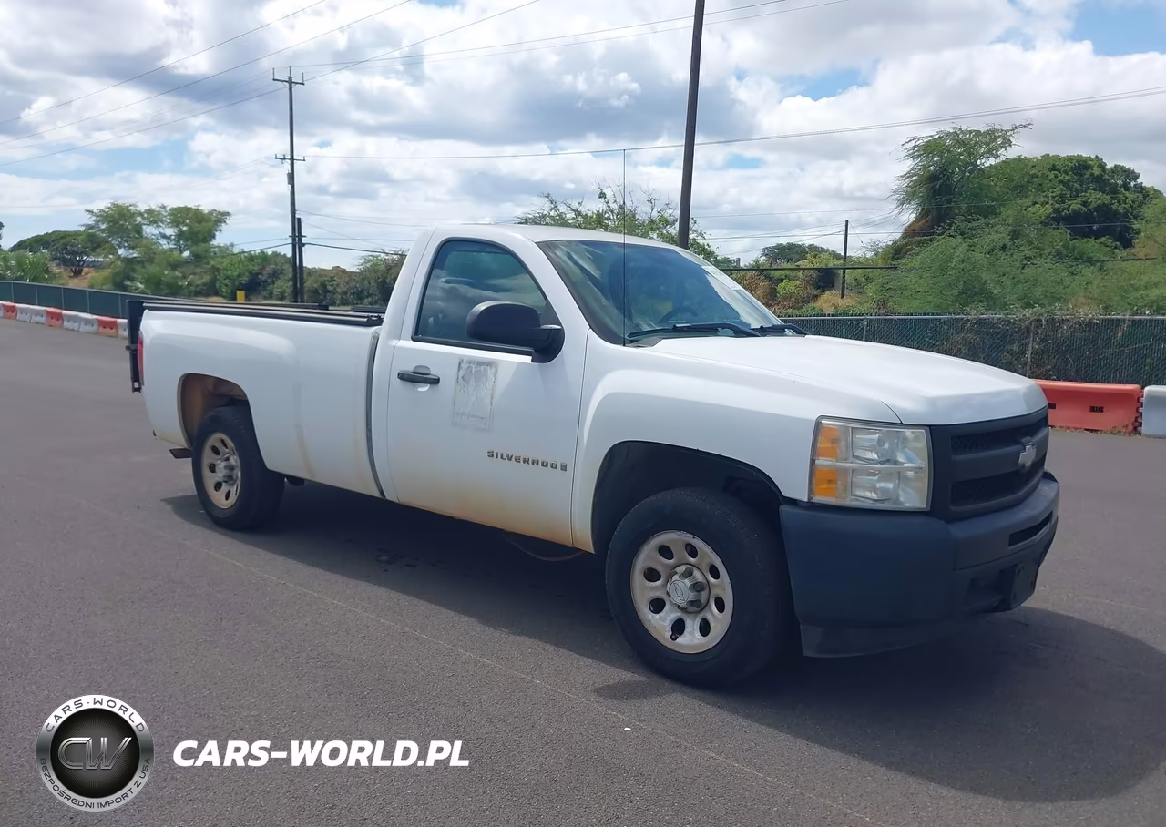 2009 Chevrolet Silverado 1500 Work Truck – zdjęcie 1 z 18