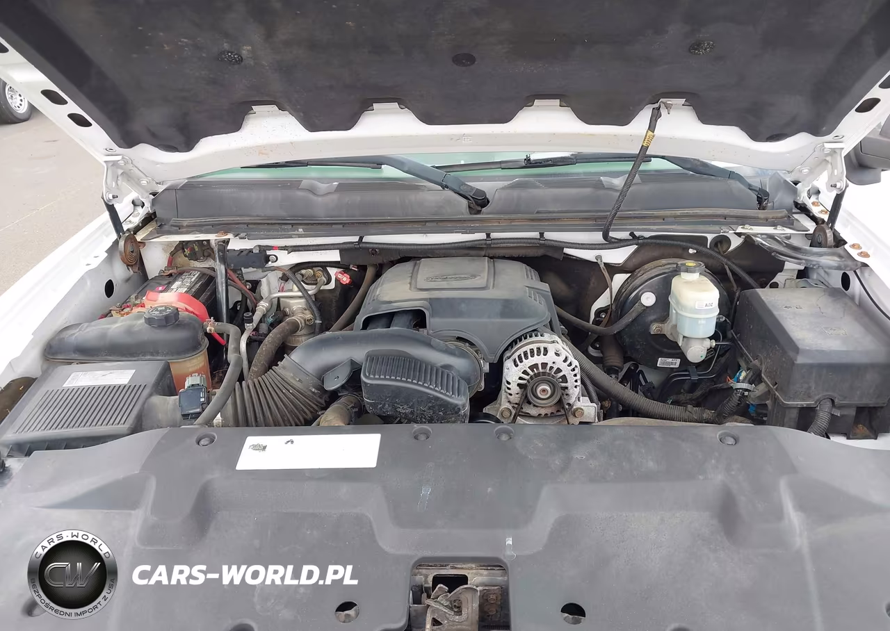2009 Chevrolet Silverado 1500 Work Truck VIN:1GCEC14069Z185791 - 10
