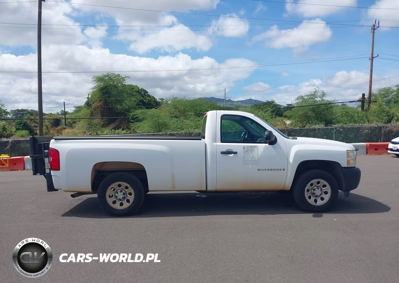 2009 Chevrolet Silverado 1500 Work Truck VIN:1GCEC14069Z185791 - 15