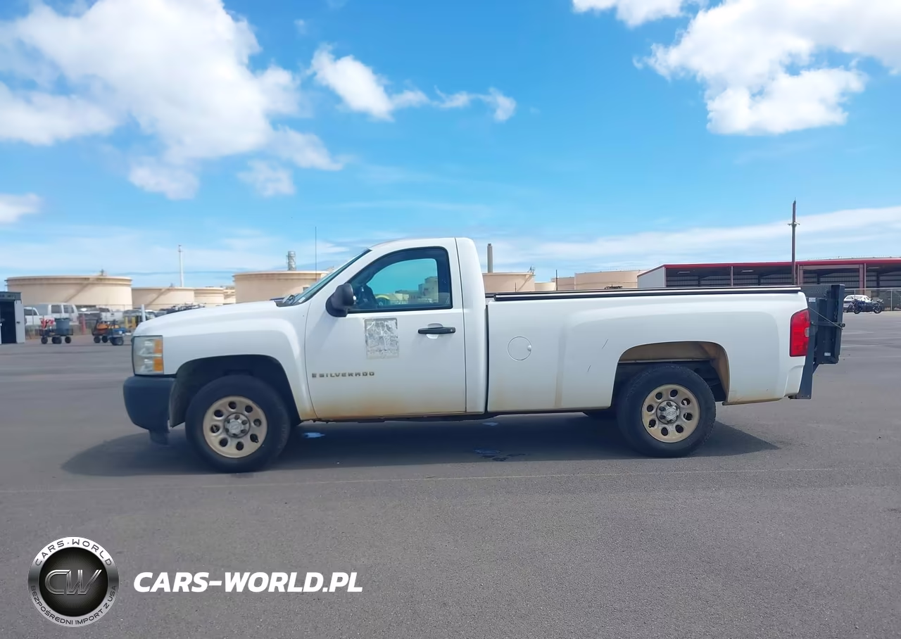 2009 Chevrolet Silverado 1500 Work Truck VIN:1GCEC14069Z185791 - 16