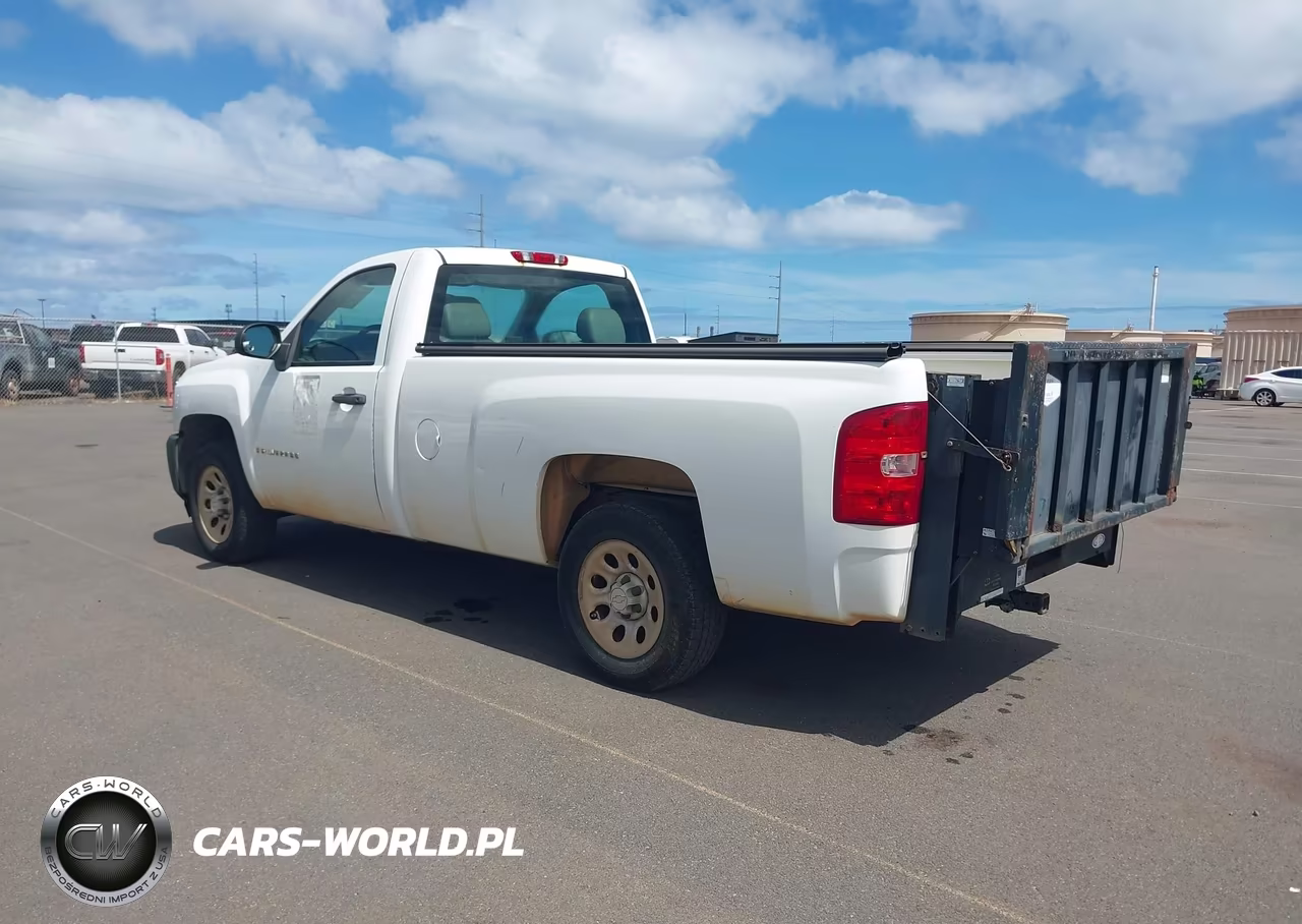 2009 Chevrolet Silverado 1500 Work Truck VIN:1GCEC14069Z185791 - 3