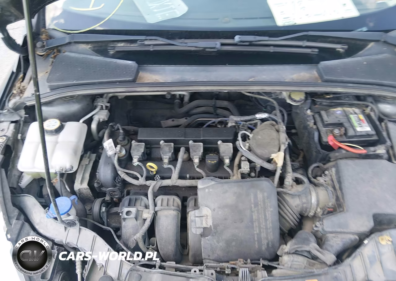 2015 Ford Focus Se VIN:1FADP3F22FL250439 - 10