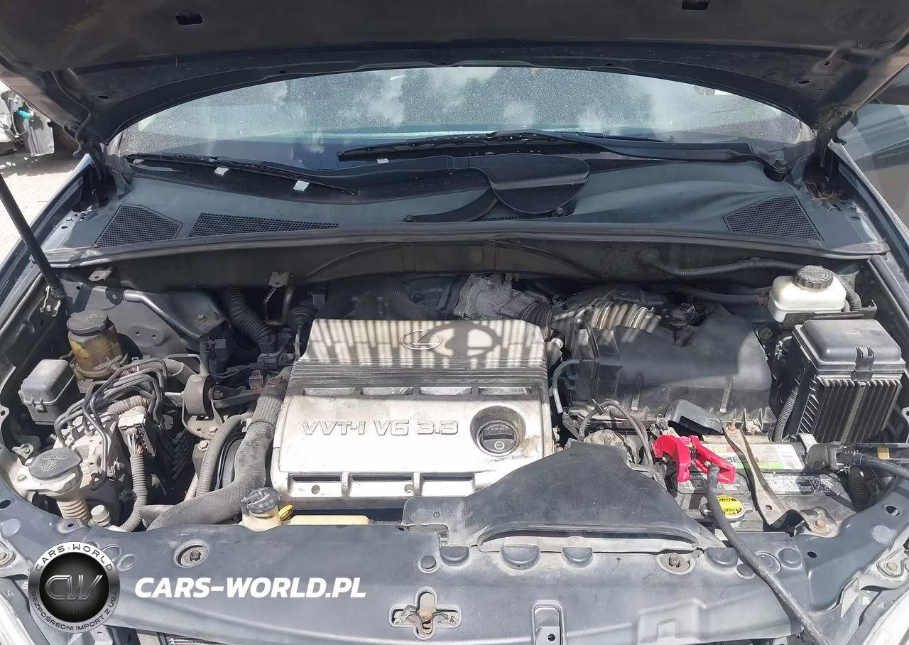 2005 Lexus Rx 330 VIN:2T2HA31U35C065159 - 10