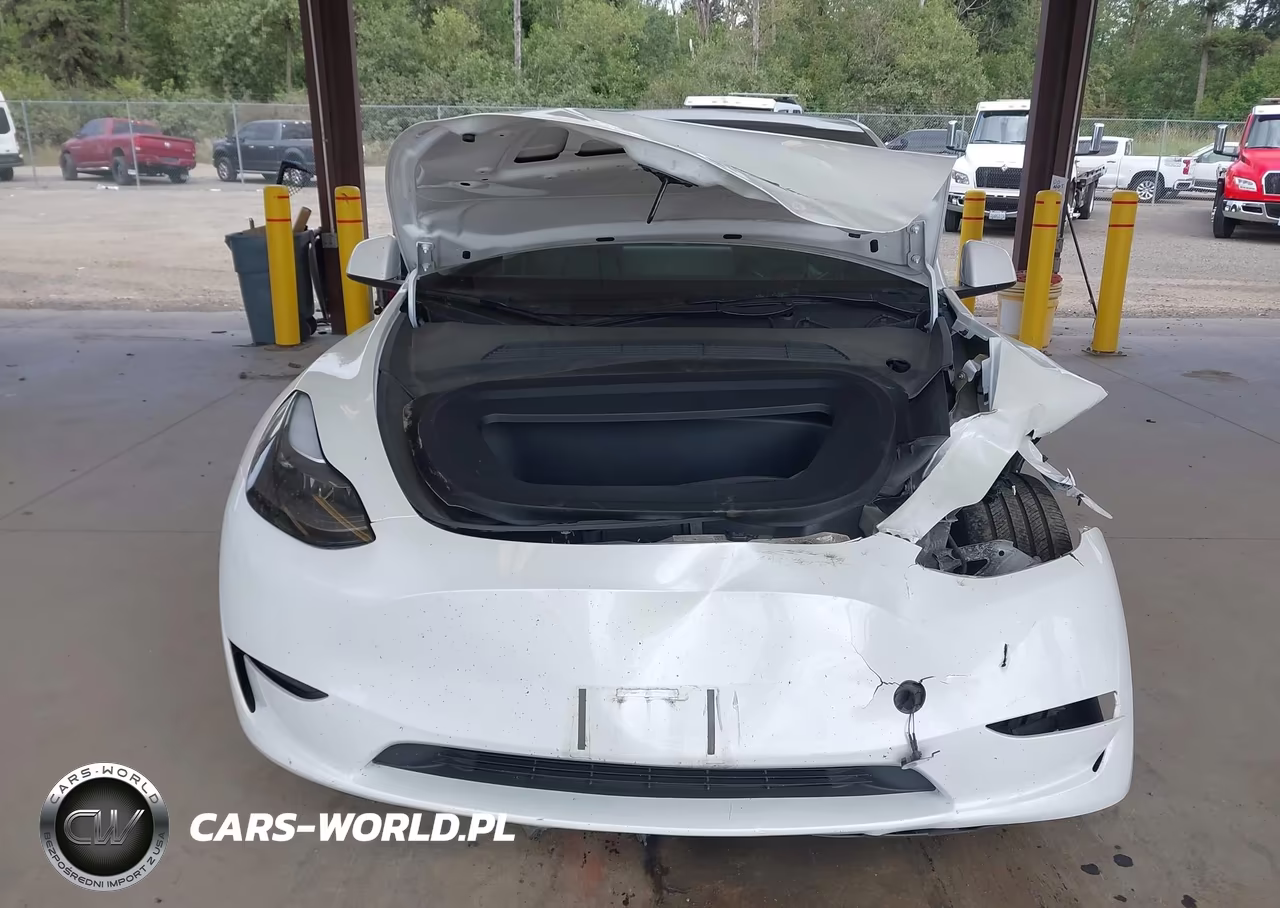 2023 Tesla Model Y Awd-Long Range Dual Motor All-Wheel Drive VIN:7SAYGDEE9PF909816 - 11