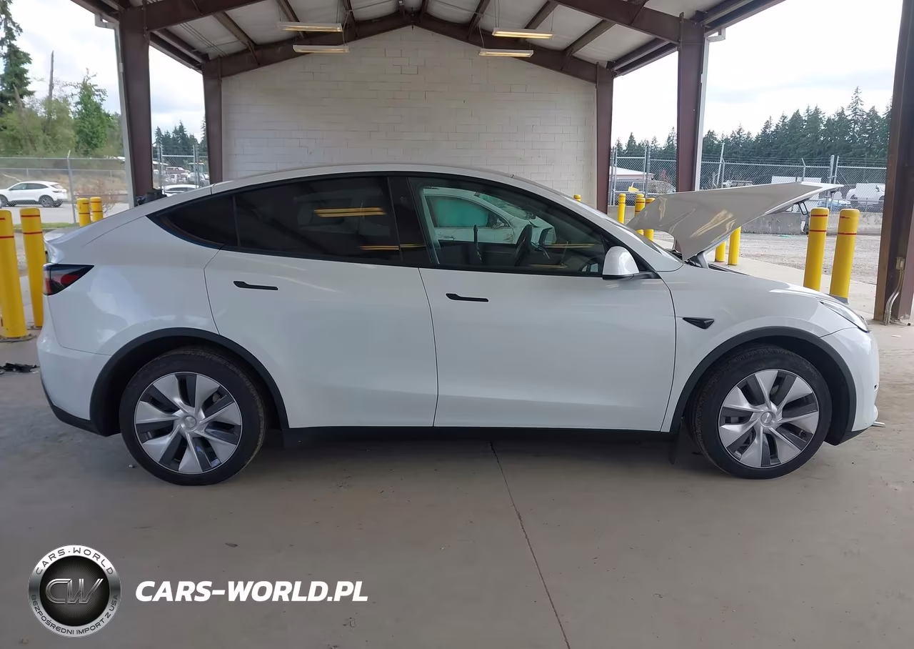 2023 Tesla Model Y Awd-Long Range Dual Motor All-Wheel Drive VIN:7SAYGDEE9PF909816 - 12
