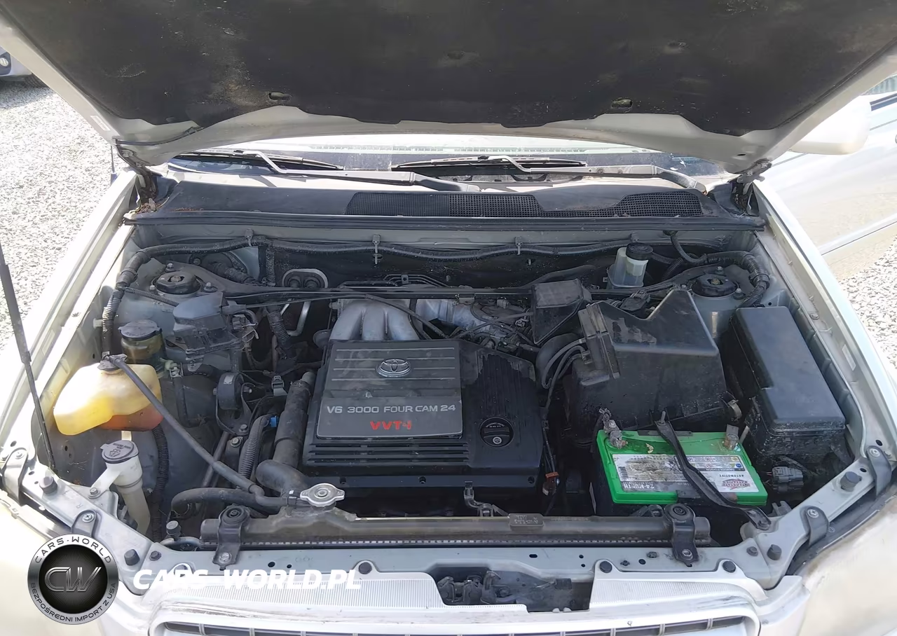 2001 Toyota Highlander V6 VIN:JTEGF21A310015461 - 10