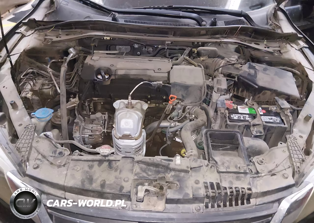 2014 Honda Accord Ex-L VIN:1HGCR2F81EA078883 - 10
