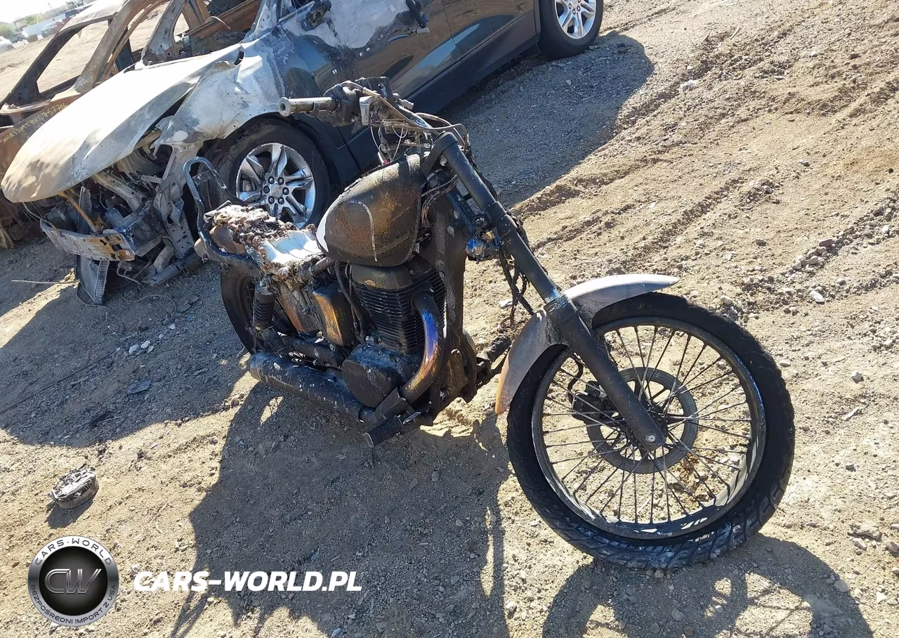 2014 Suzuki Ls650 – zdjęcie 1 z 11