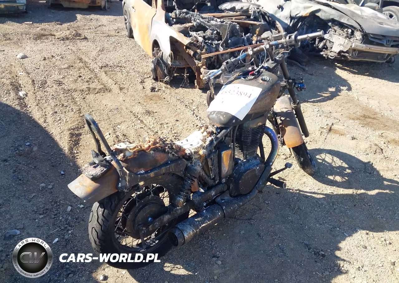 2014 Suzuki Ls650 VIN:JS1NP41A0E2101092 - 4