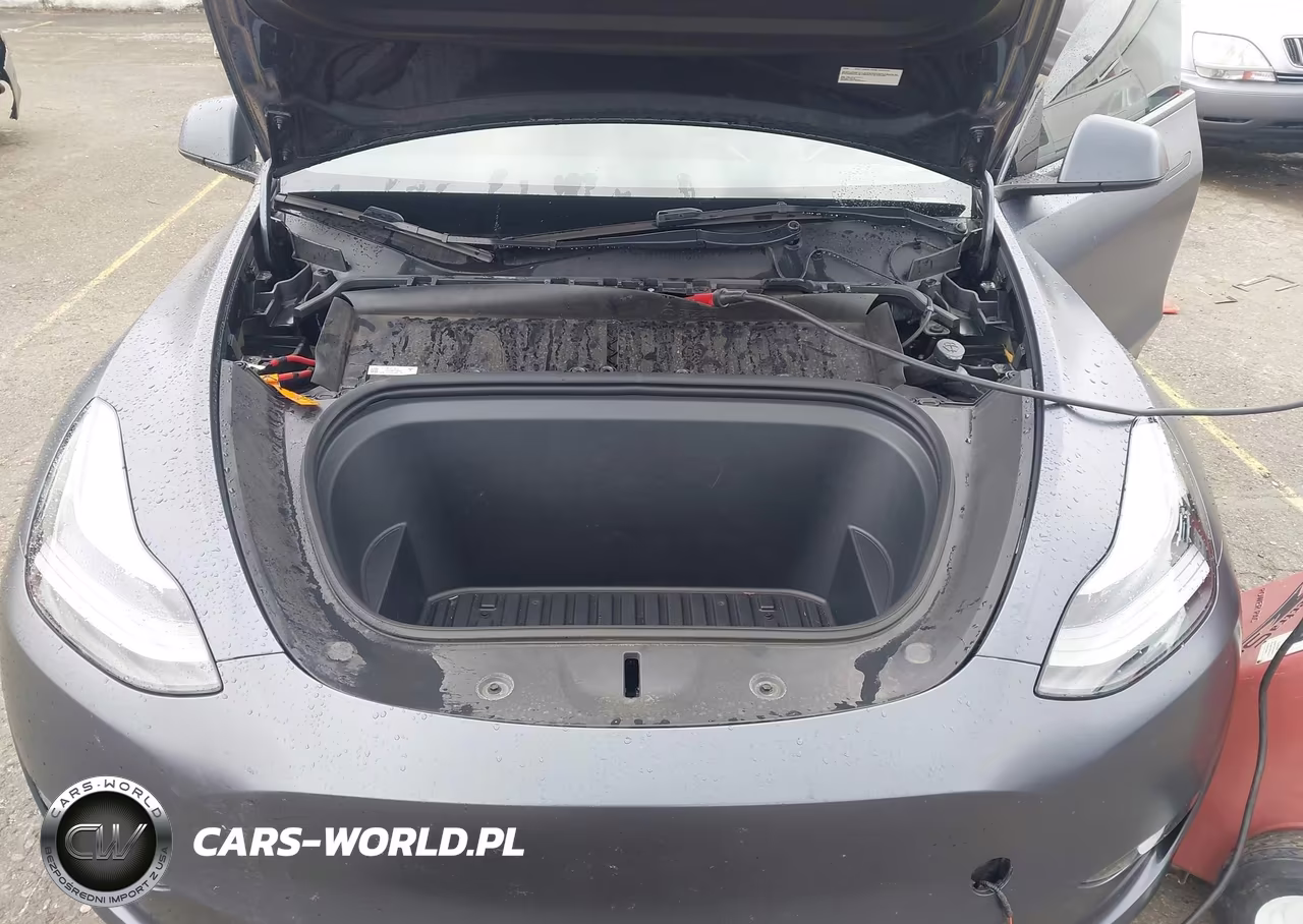 2023 Tesla Model Y Performance Dual Motor All-Wheel Drive VIN:7SAYGDEF6PF668595 - 10