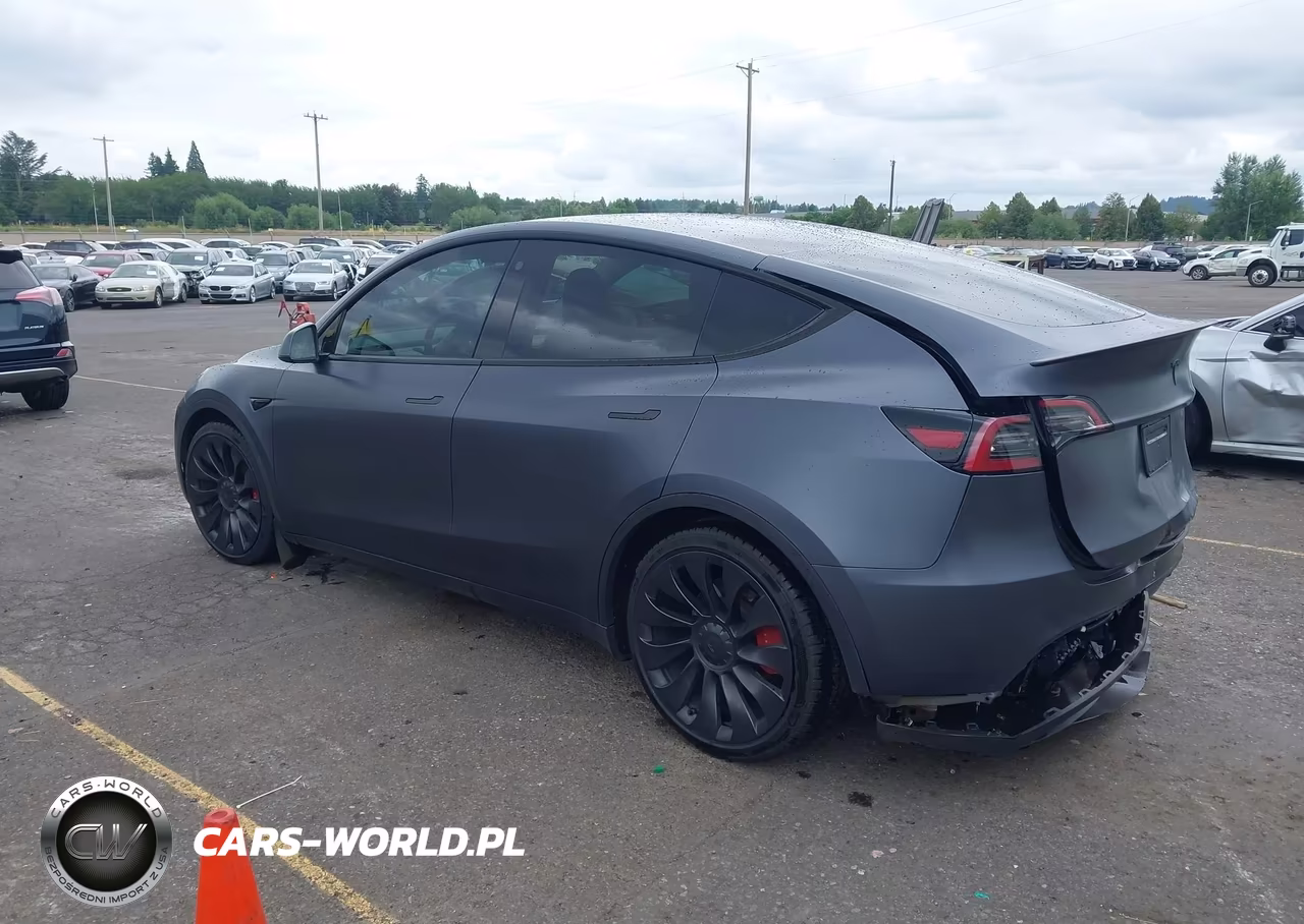 2023 Tesla Model Y Performance Dual Motor All-Wheel Drive VIN:7SAYGDEF6PF668595 - 3