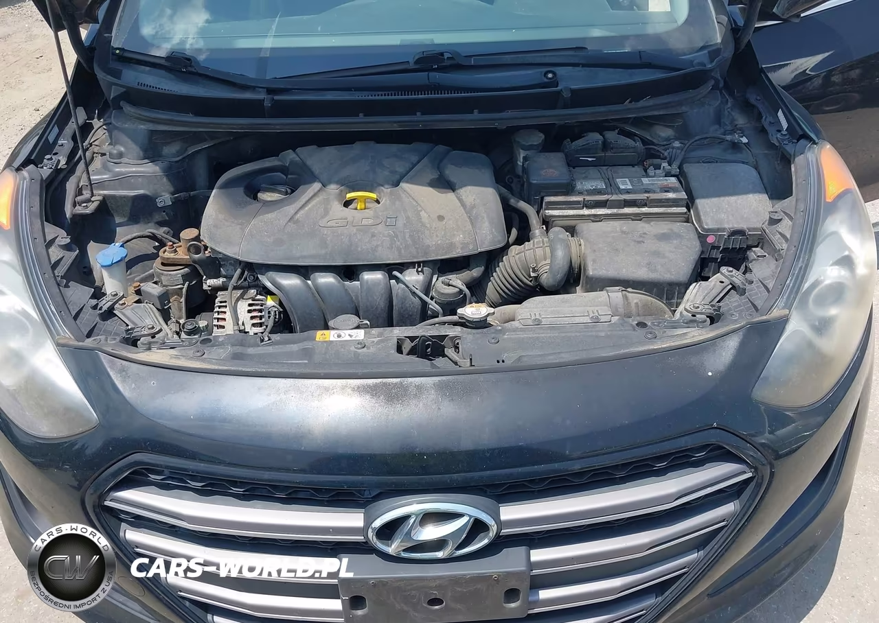 2016 Hyundai Elantra Gt VIN:KMHD35LH0GU262736 - 10