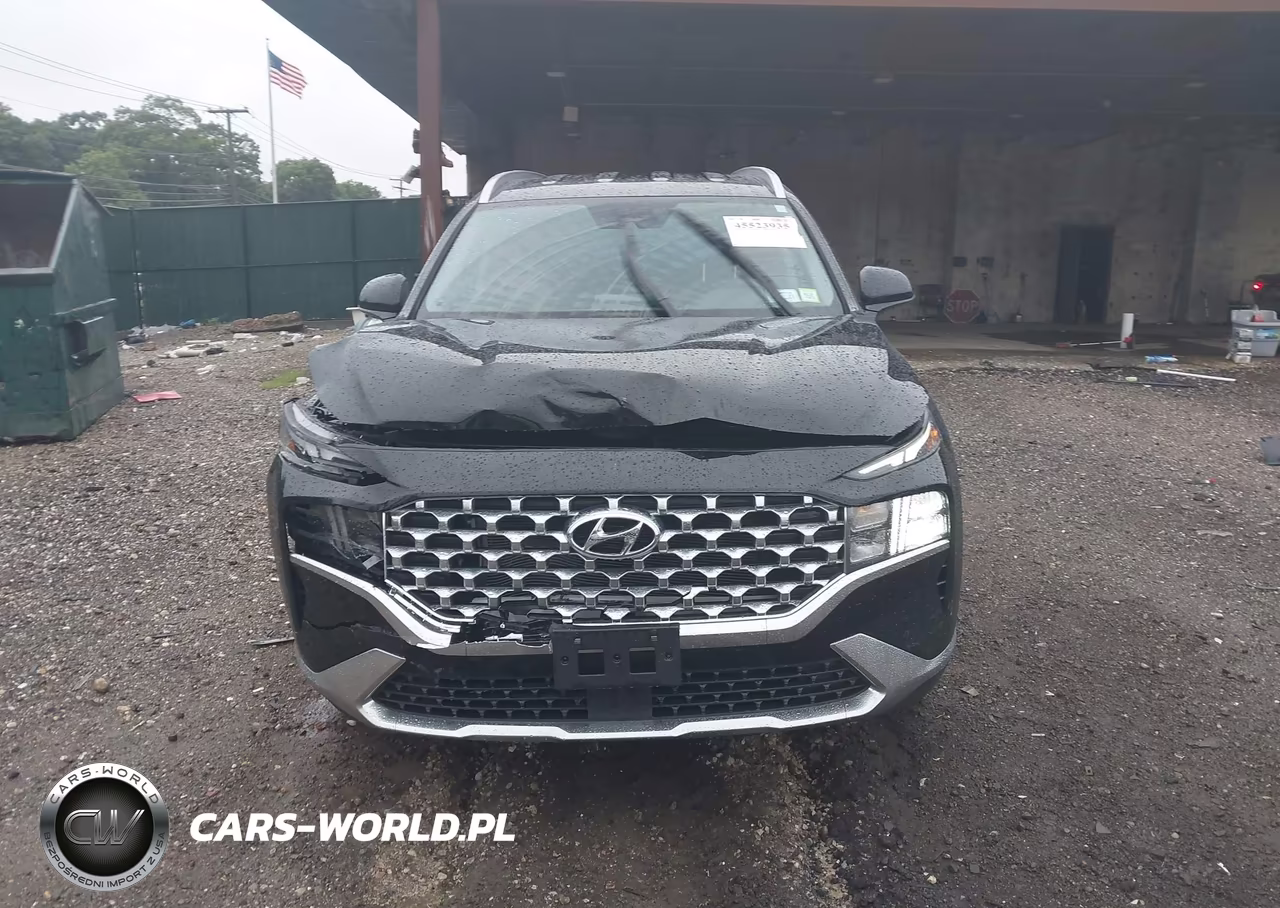 2022 Hyundai Santa Fe Sel VIN:5NMS2DAJ3NH412924 - 12