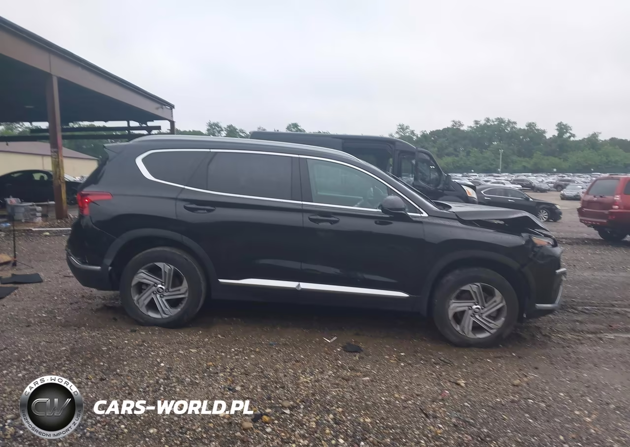 2022 Hyundai Santa Fe Sel VIN:5NMS2DAJ3NH412924 - 13