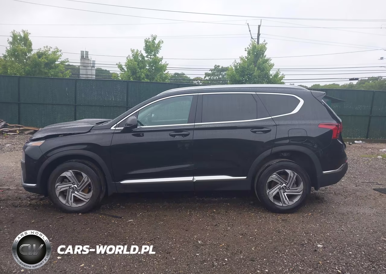 2022 Hyundai Santa Fe Sel VIN:5NMS2DAJ3NH412924 - 14