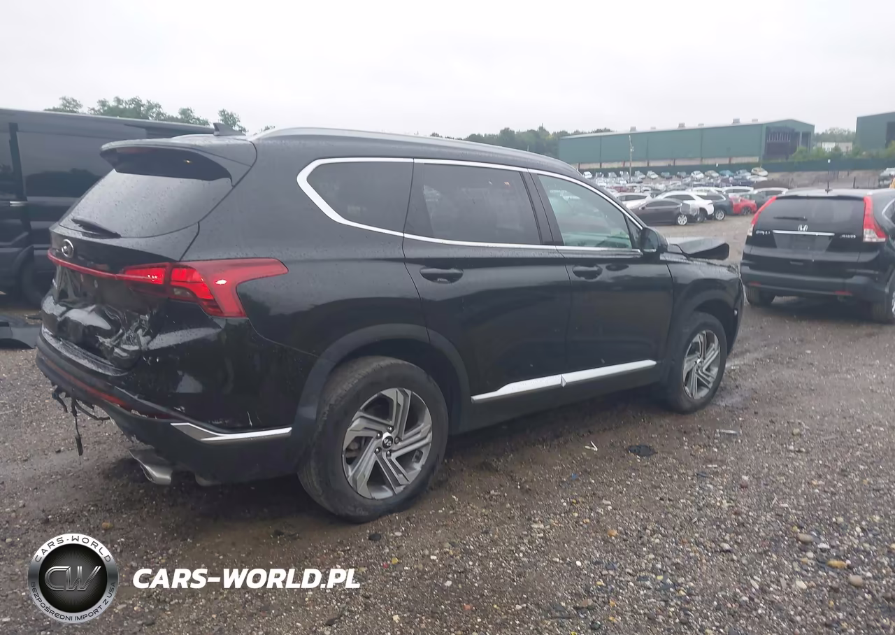 2022 Hyundai Santa Fe Sel VIN:5NMS2DAJ3NH412924 - 4