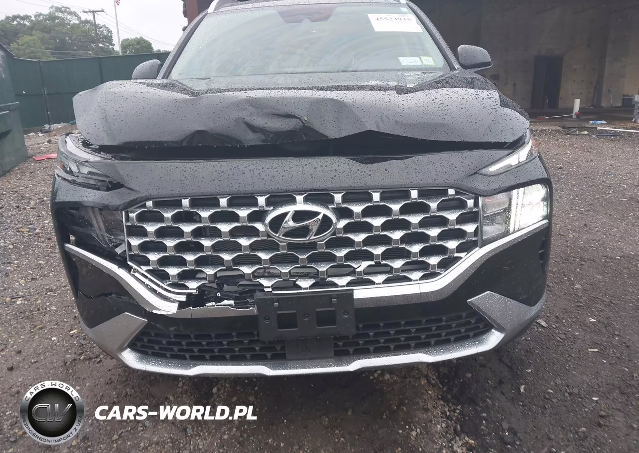 2022 Hyundai Santa Fe Sel VIN:5NMS2DAJ3NH412924 - 6