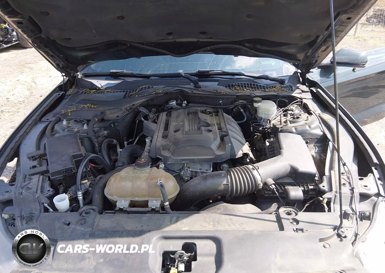 2015 Ford Mustang Ecoboost VIN:1FA6P8TH8F5382818 - 10