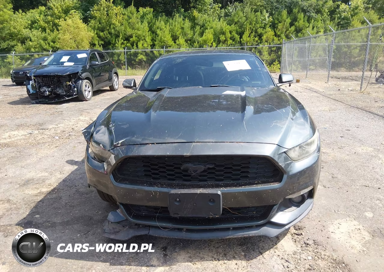 2015 Ford Mustang Ecoboost VIN:1FA6P8TH8F5382818 - 13
