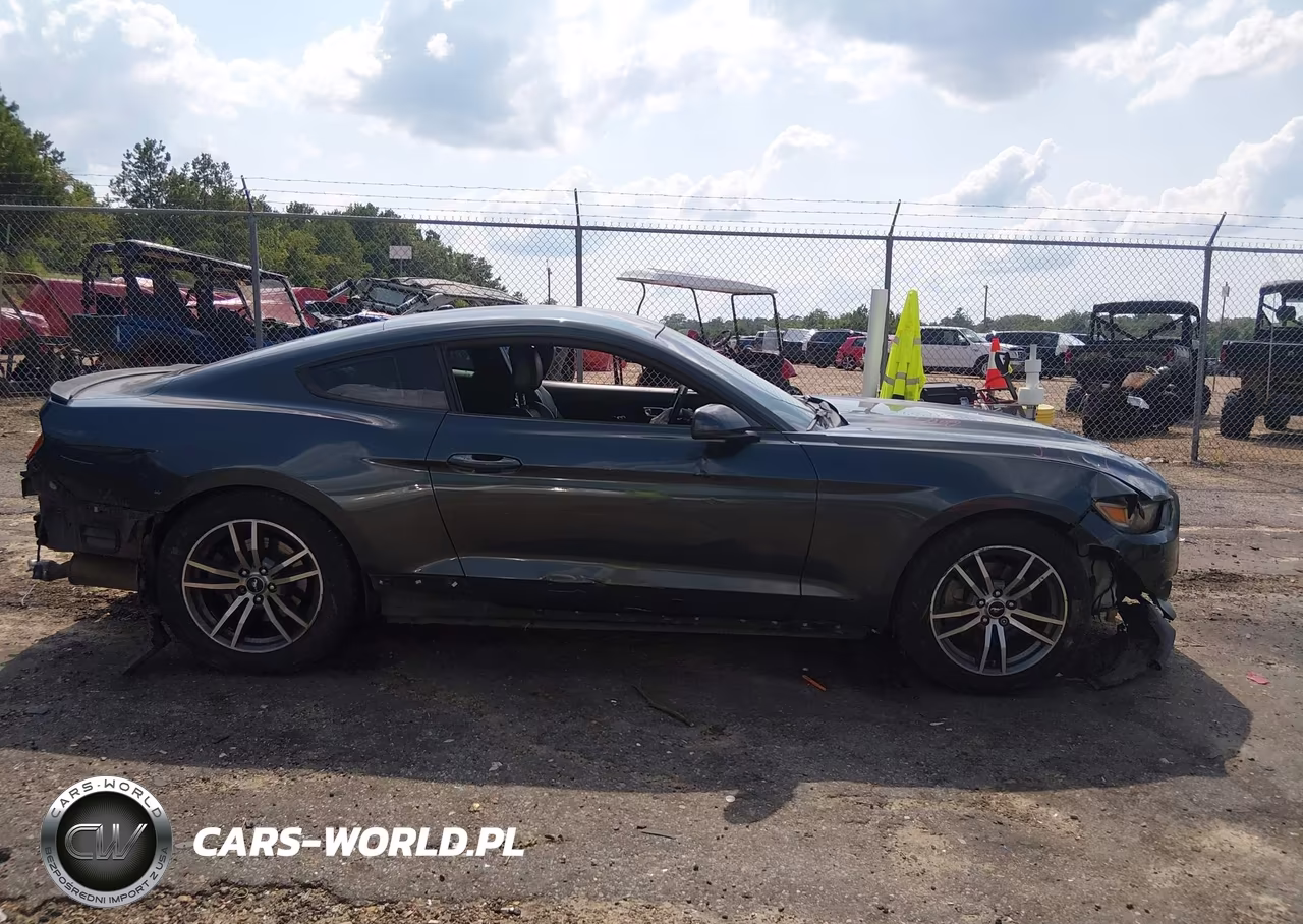 2015 Ford Mustang Ecoboost VIN:1FA6P8TH8F5382818 - 14