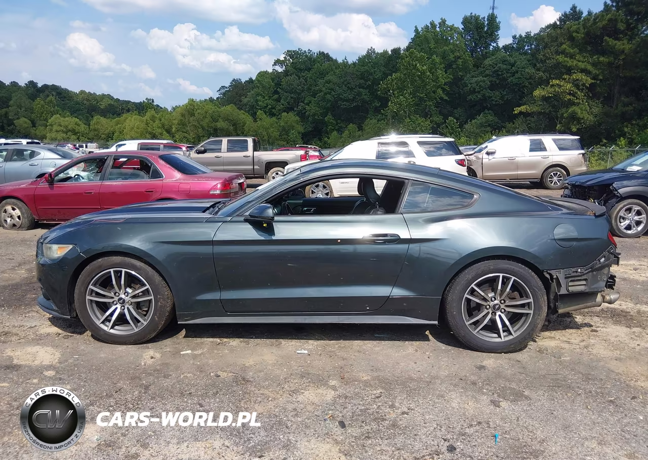 2015 Ford Mustang Ecoboost VIN:1FA6P8TH8F5382818 - 15