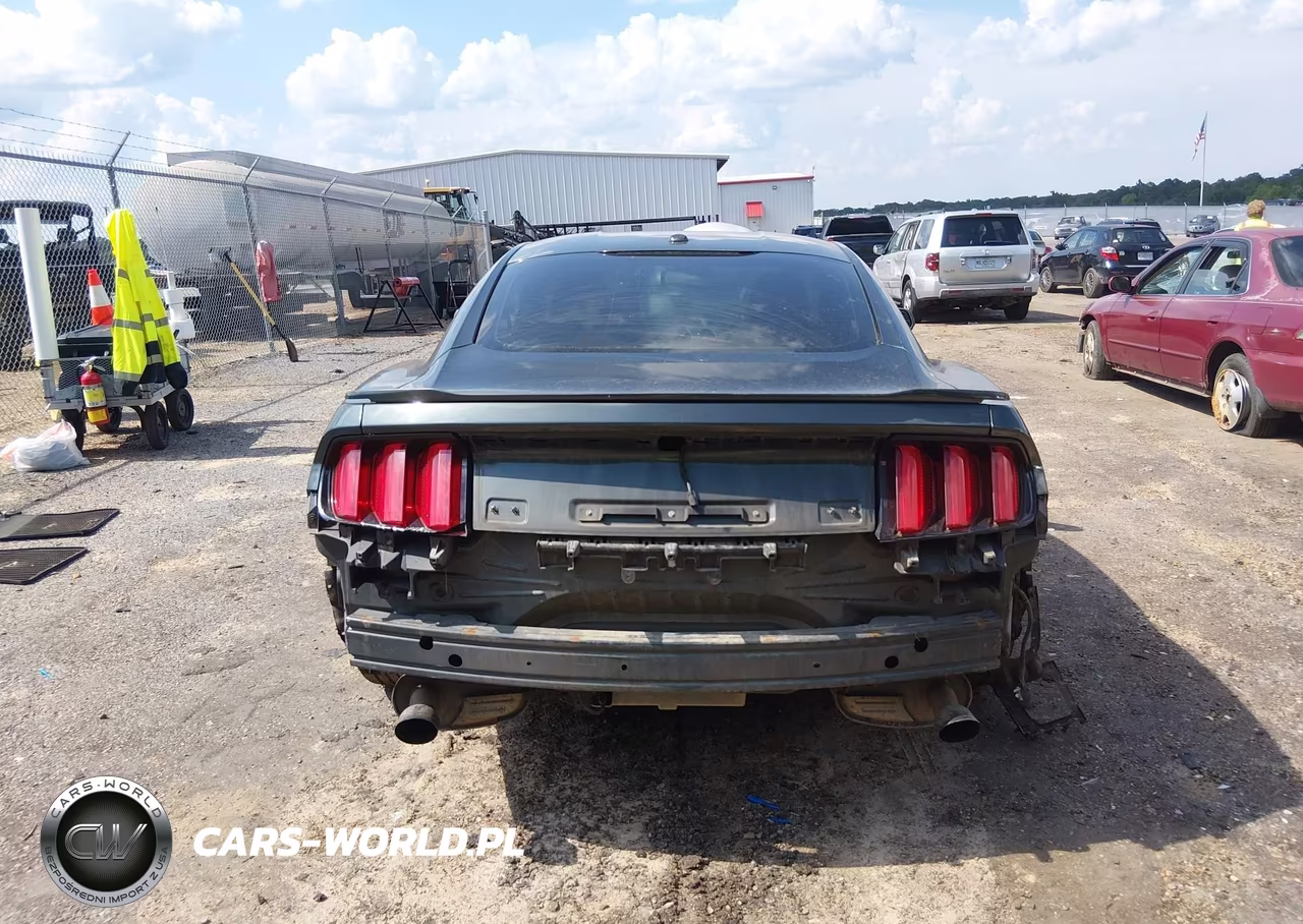 2015 Ford Mustang Ecoboost VIN:1FA6P8TH8F5382818 - 17