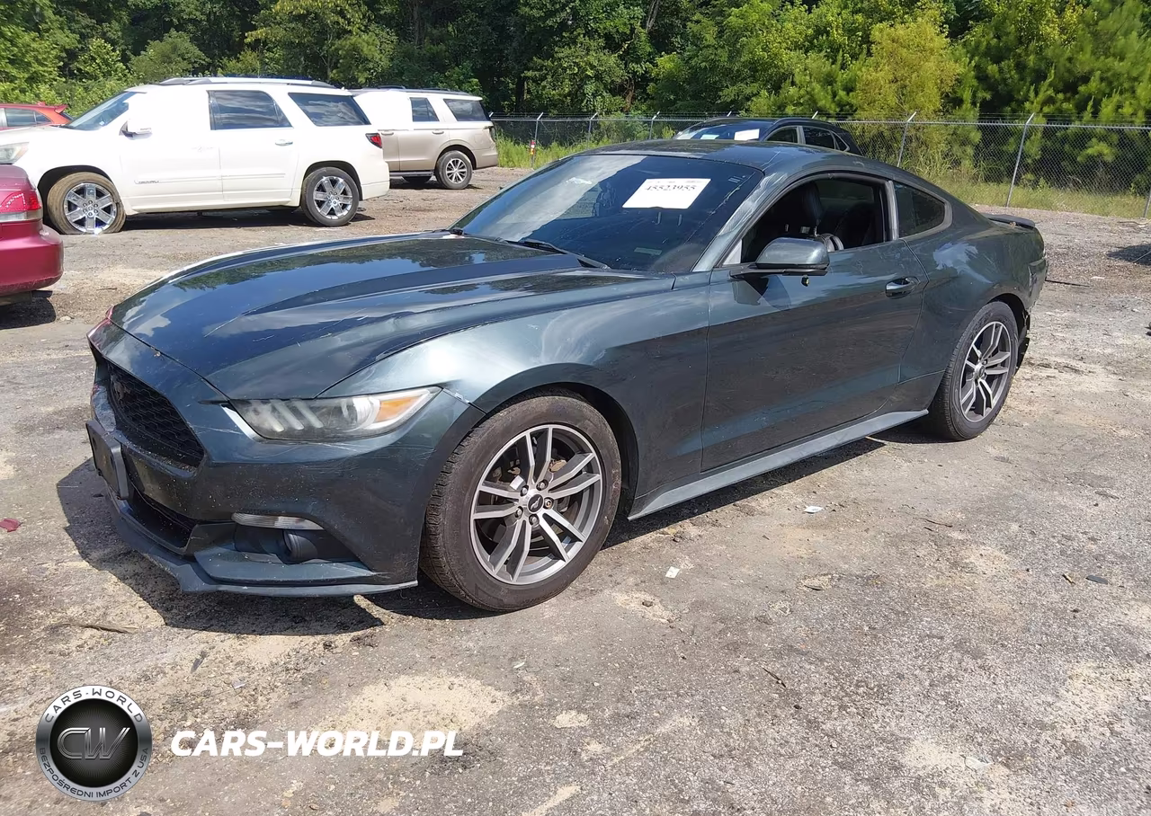 2015 Ford Mustang Ecoboost VIN:1FA6P8TH8F5382818 - 2