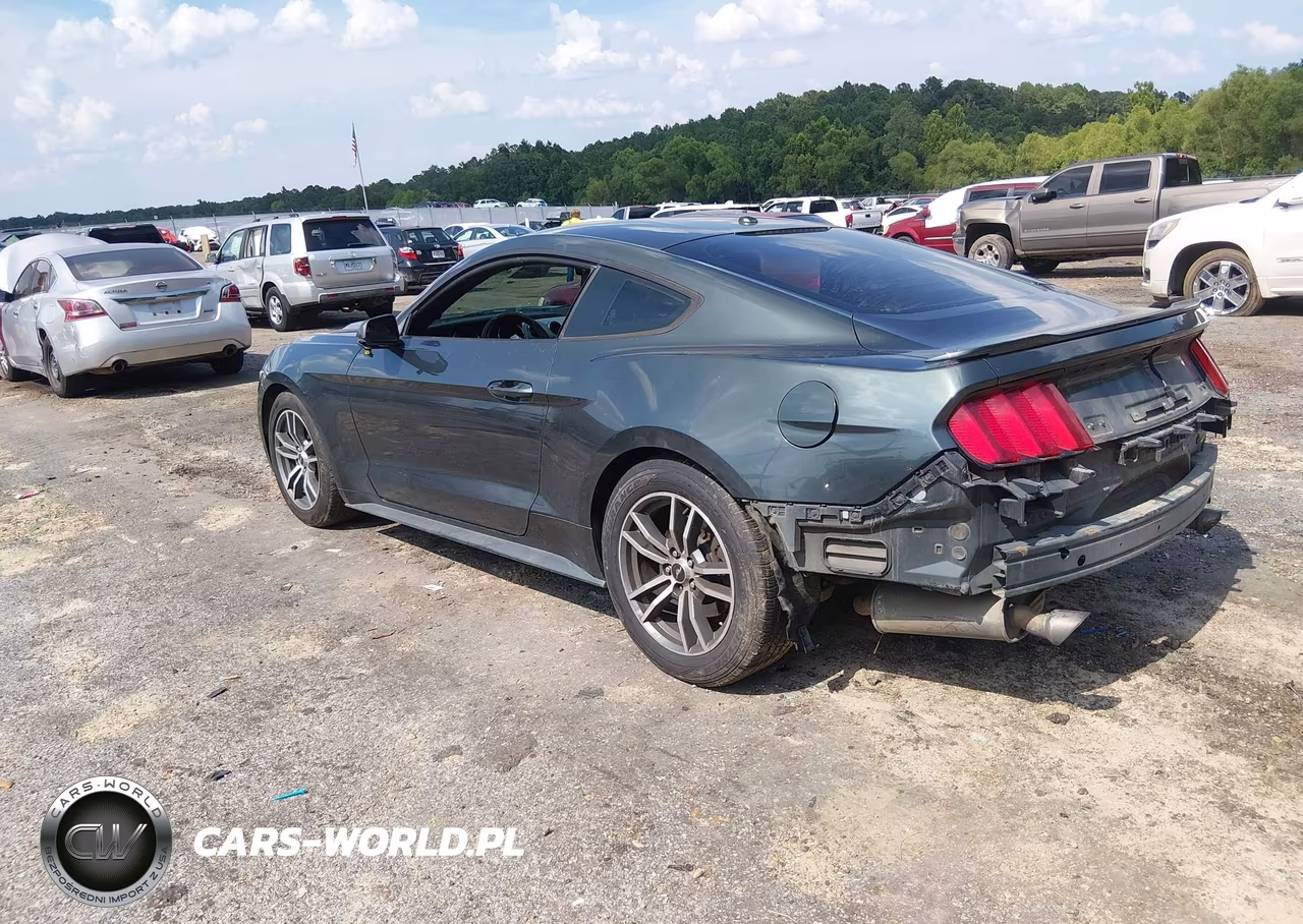 2015 Ford Mustang Ecoboost VIN:1FA6P8TH8F5382818 - 3