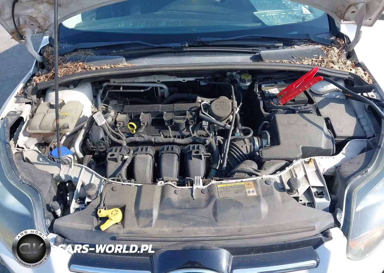 2012 Ford Focus Titanium VIN:1FAHP3N20CL273488 - 10
