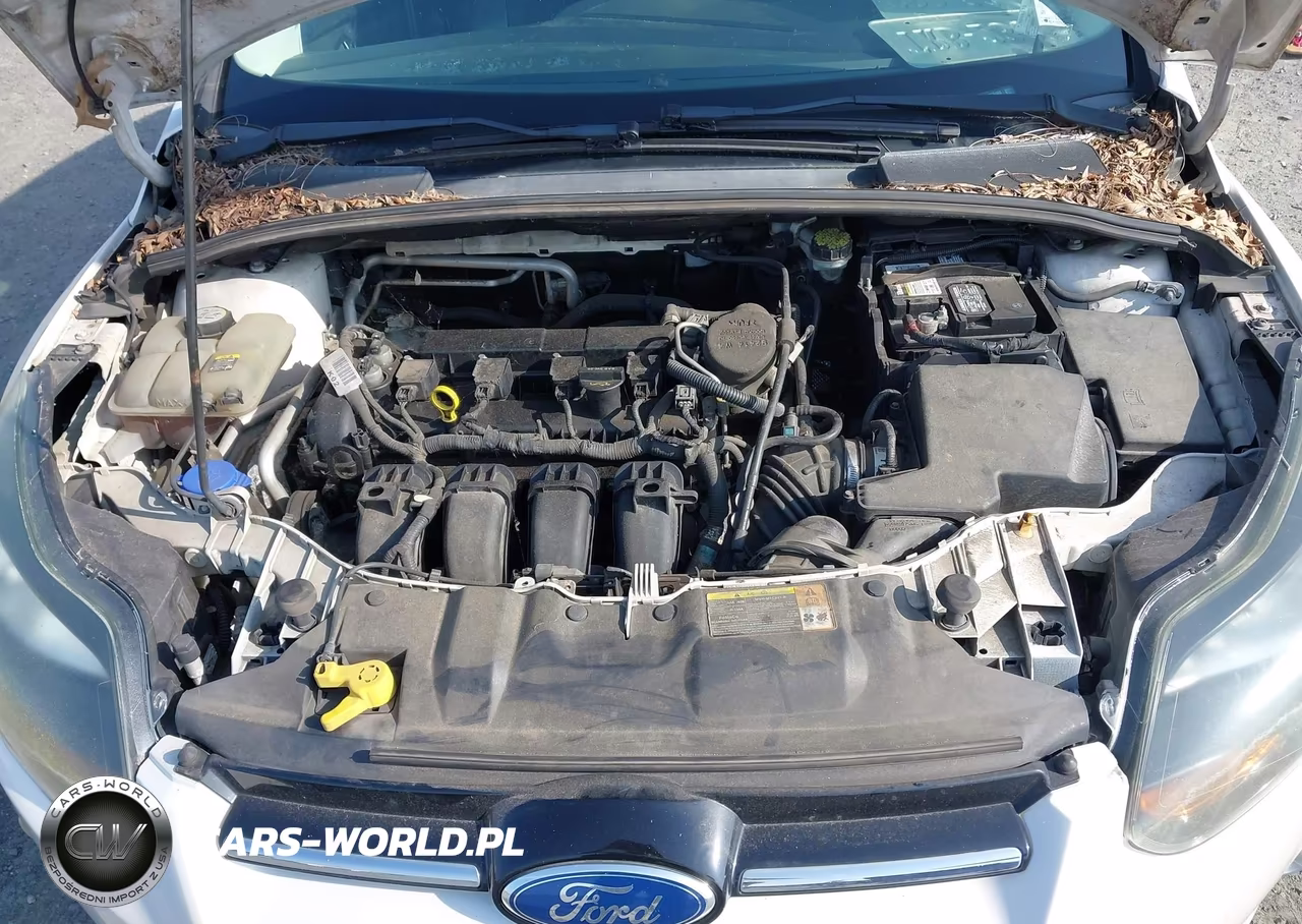 2012 Ford Focus Titanium VIN:1FAHP3N20CL273488 - 12