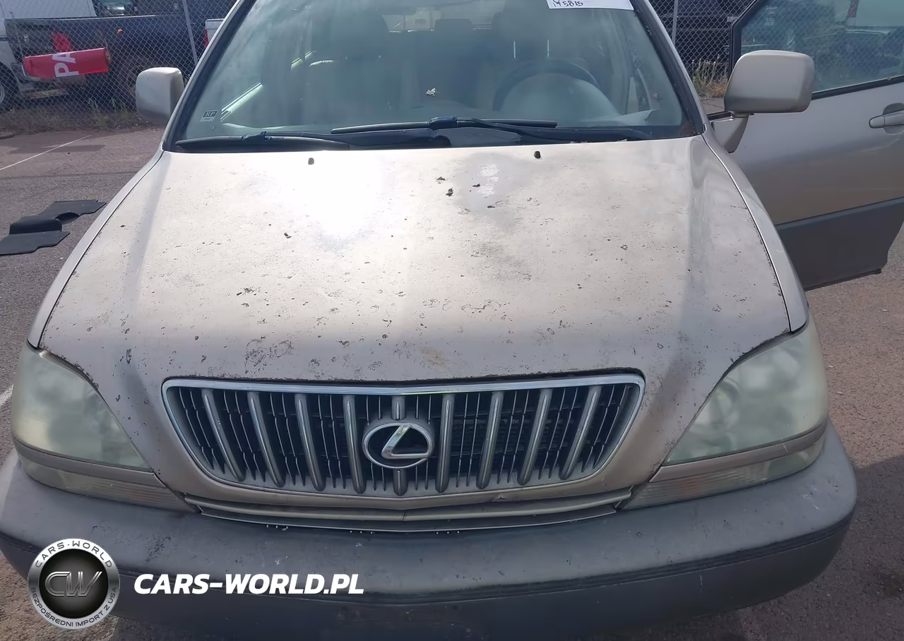 2001 Lexus Rx 300 VIN:JTJHF10U110176872 - 10